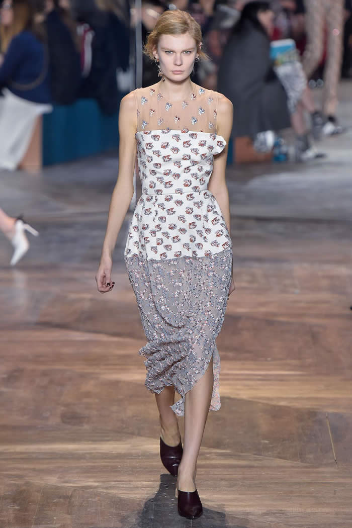 Christian Dior Spring  2016 Collection