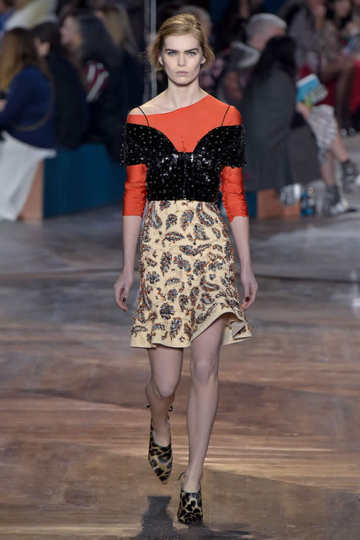Christian Dior Latest Spring  2016 Collection
