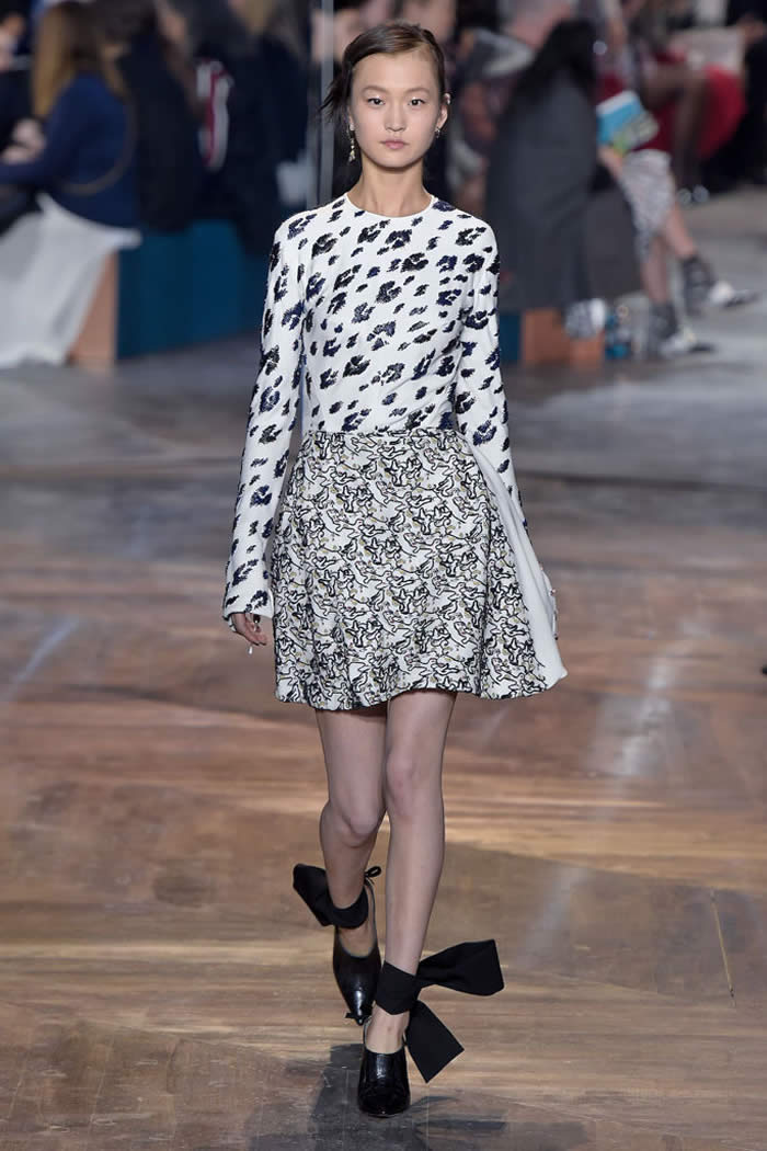 Christian Dior  2016 Spring  Collection