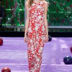 Fall New York CHRISTIAN DIOR  Collection