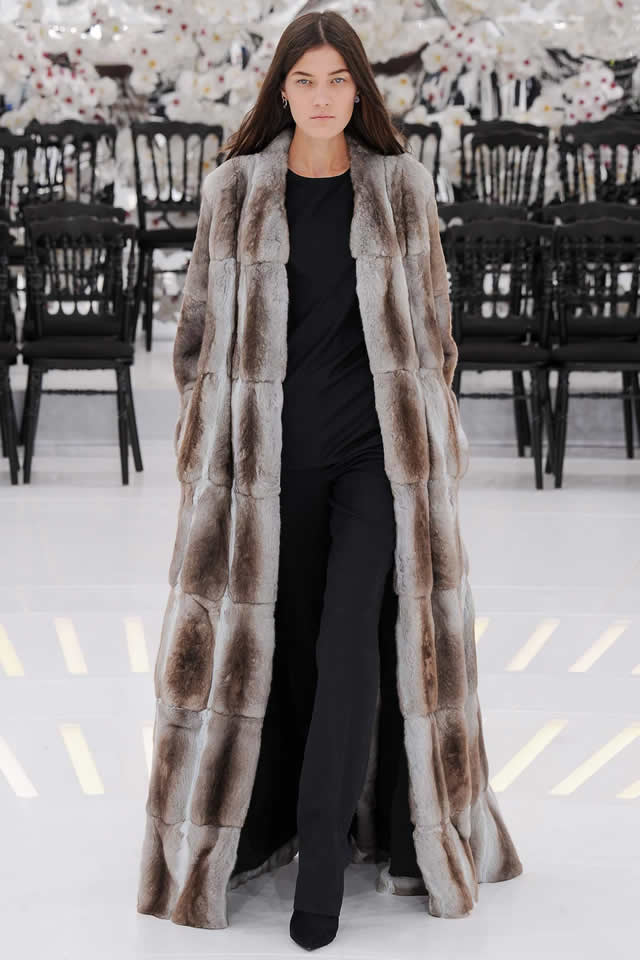 2014 Christian Dior Paris Fall Couture Collection