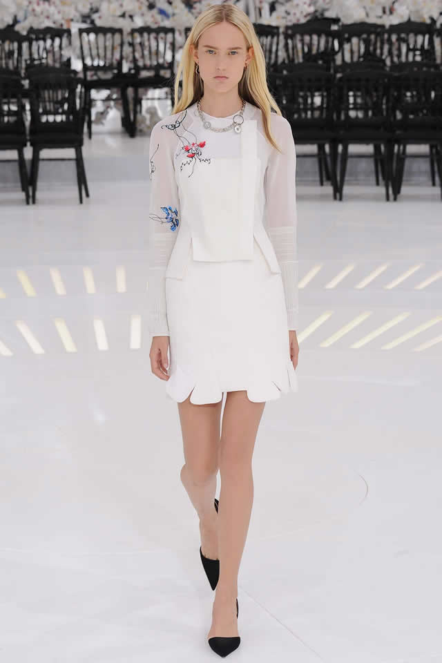 2014 Christian Dior Collection