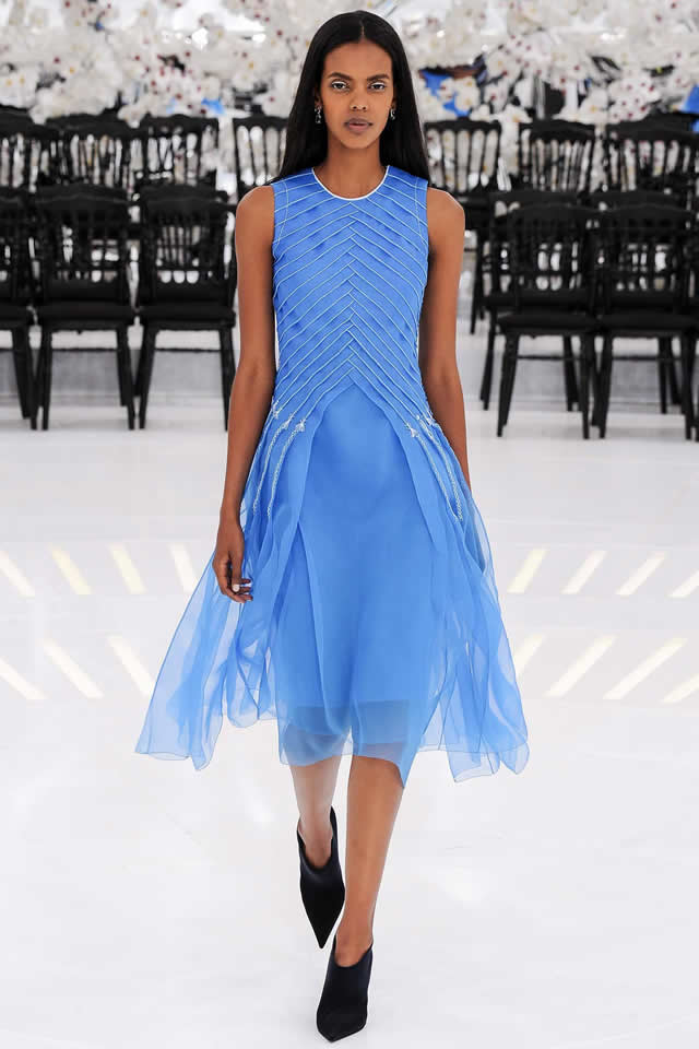Latest Collection by Christian Dior 2014 Fall Couture