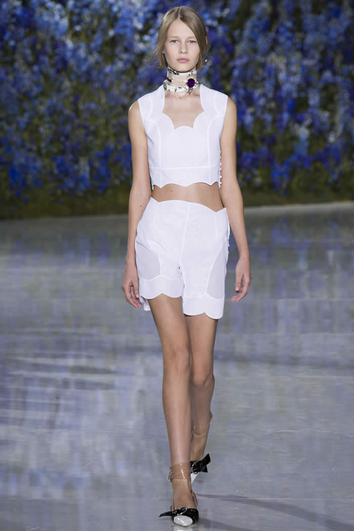 Christian Dior Spring 2016 Collection