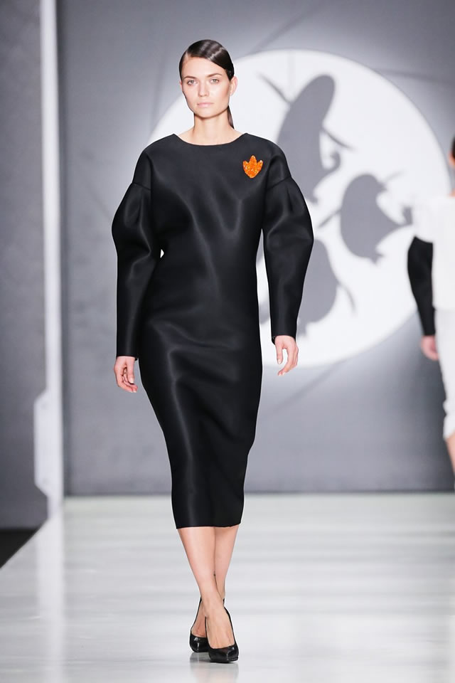 2015 Dasha Gauser Collection