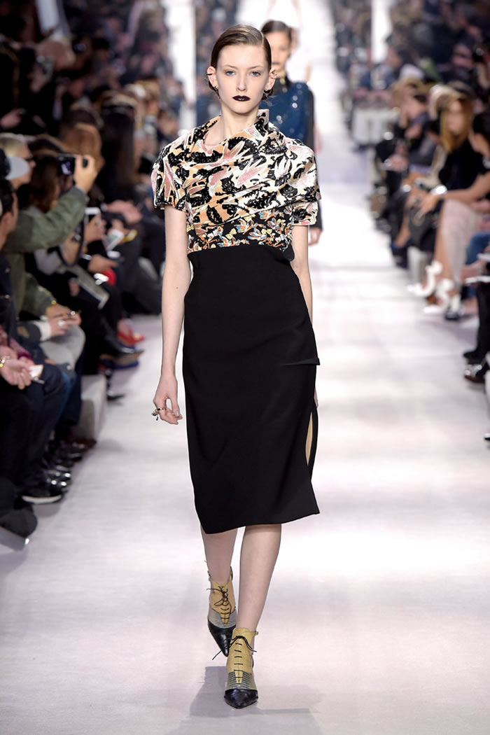Dior Fall RTW  2016 Collection