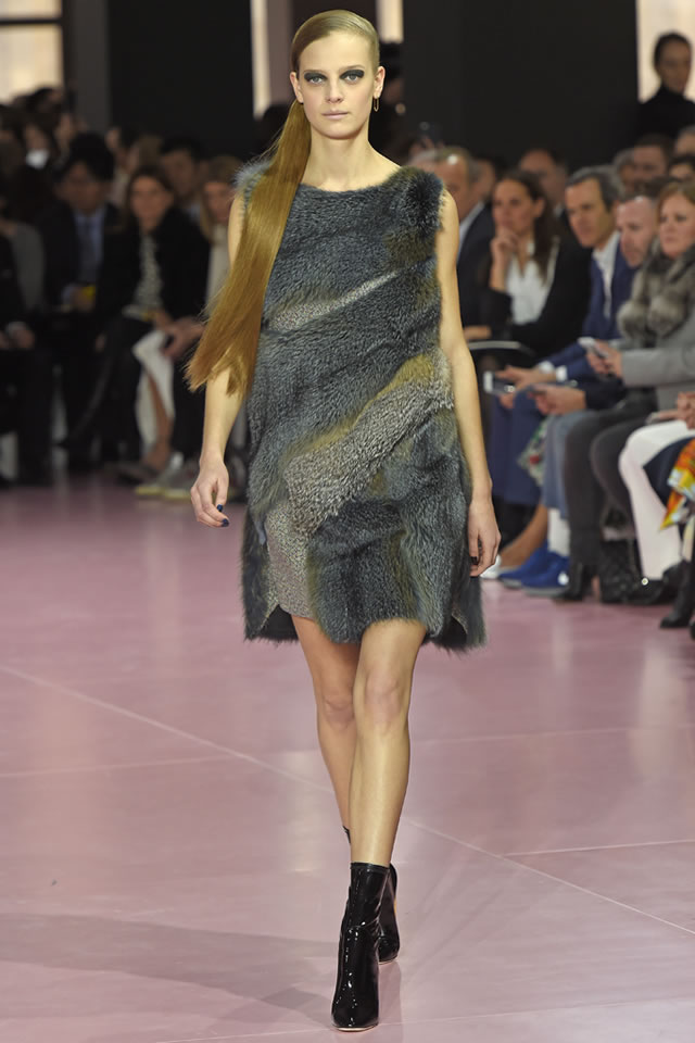 2015 Paris DIOR  Collection