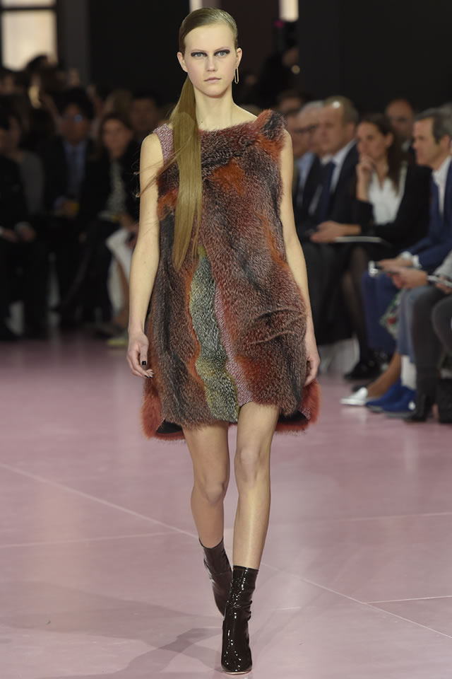 2015 Fall DIOR  Latest Collection