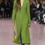 Fall 2015 Paris DIOR  Collection
