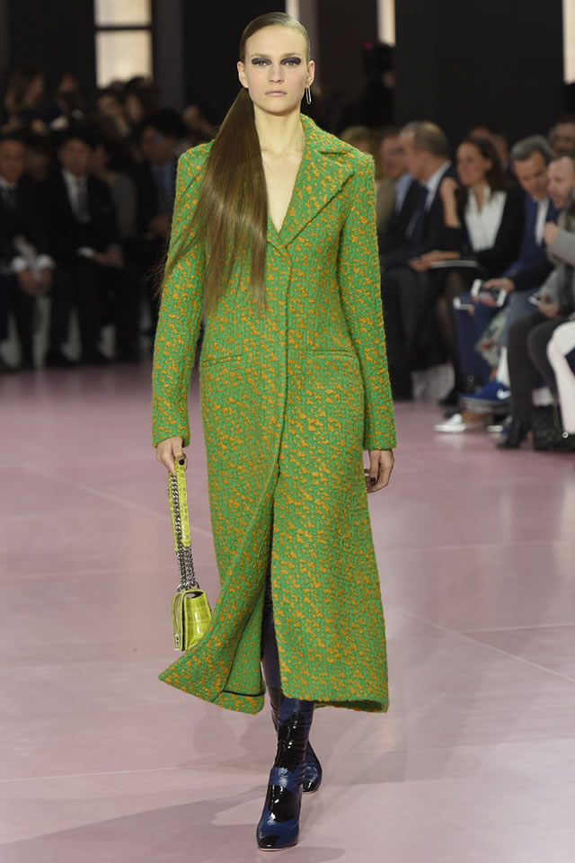 Fall 2015 Paris DIOR  Collection
