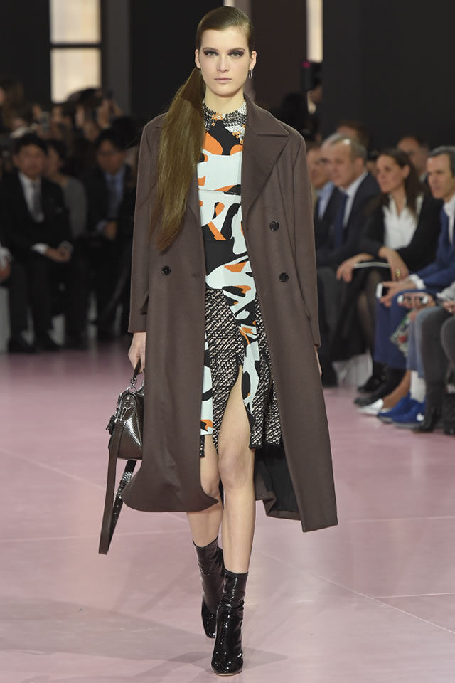 Paris DIOR  Fall Collection