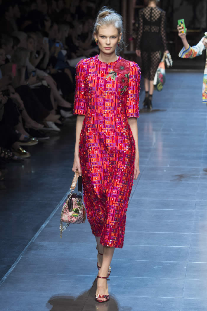 Latest Collection Spring by Dolce & Gabbana 2016