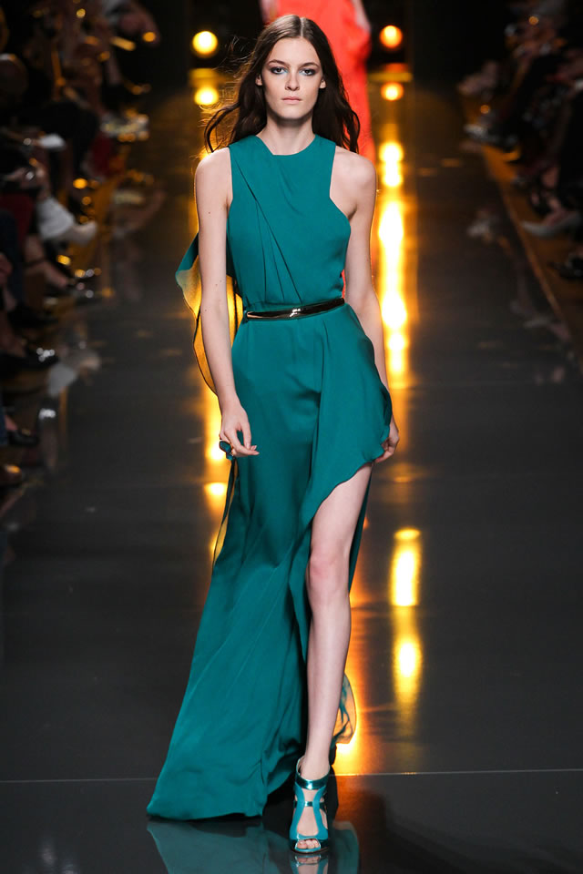 2015 Latest Paris Elie Saab  Spring Collection