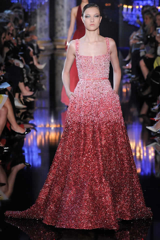 2014 Elie Saab Paris Collection