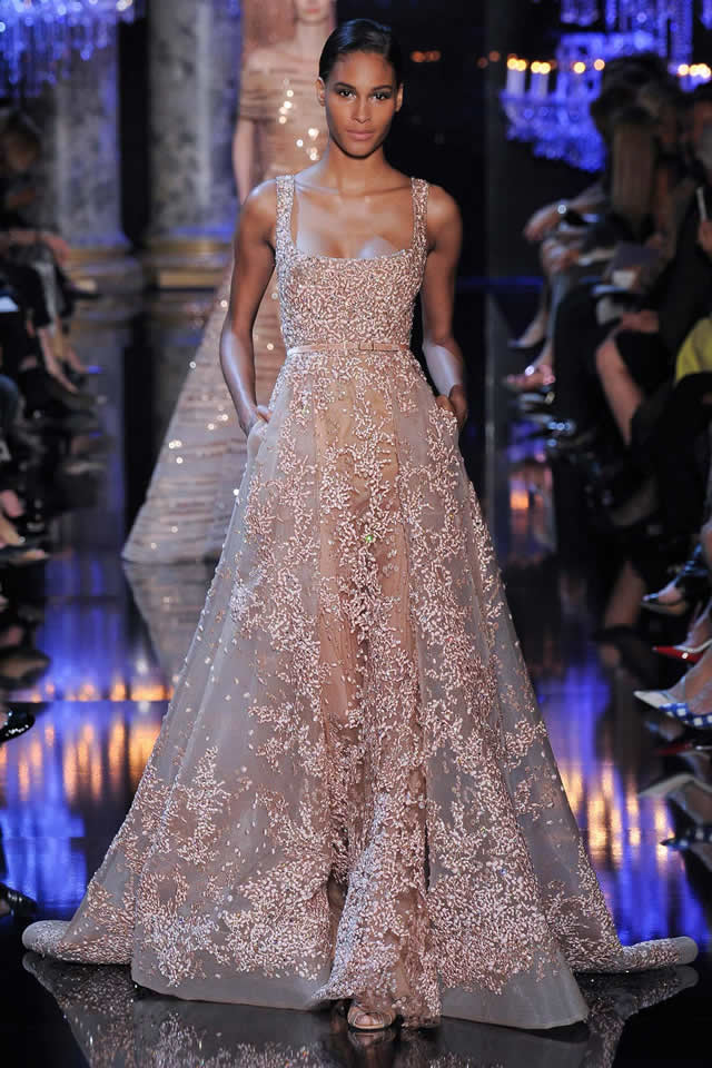 2014 Latest Elie Saab Paris Collection