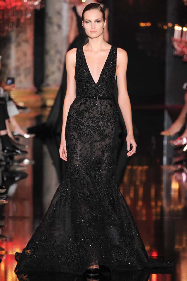Fall Couture Paris Elie Saab 2014 Collection