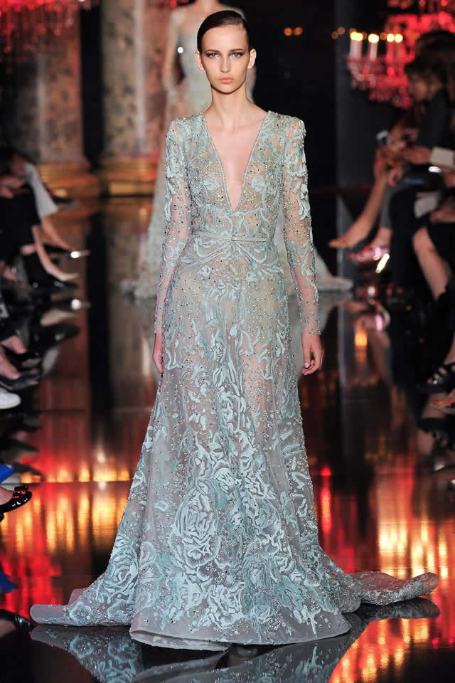 Latest Collection Paris by Elie Saab 2014