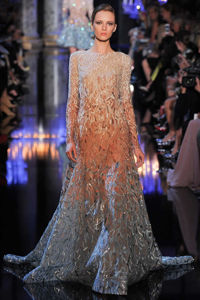 Paris Elie Saab 2014 Collection