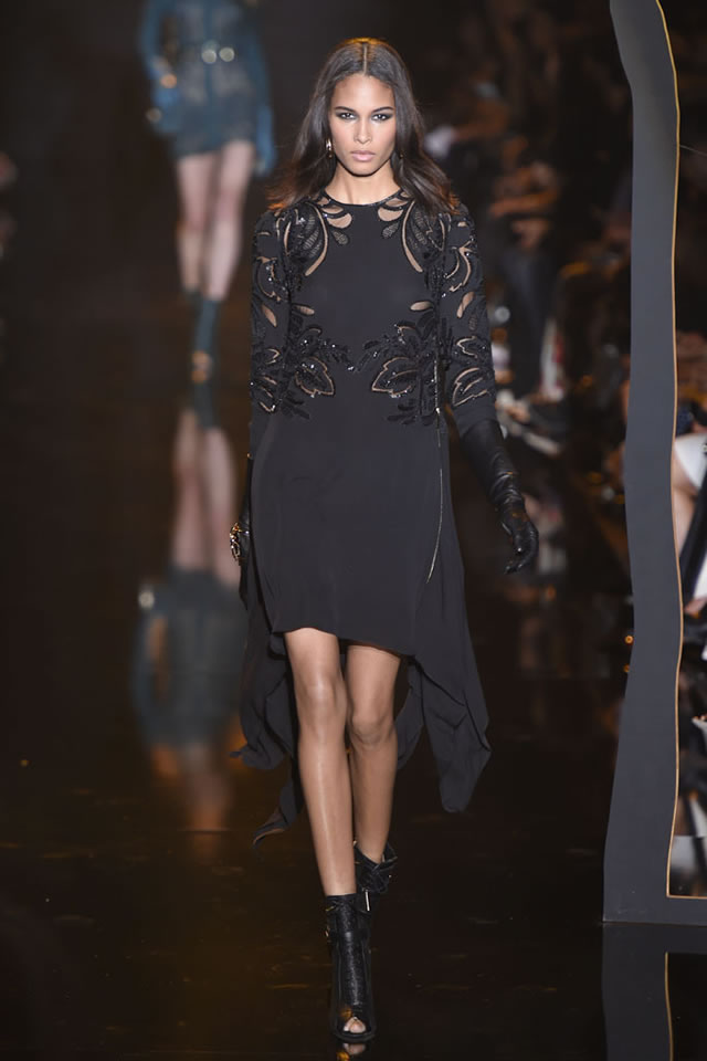 2015 Paris Elie Saab  Fall Collection