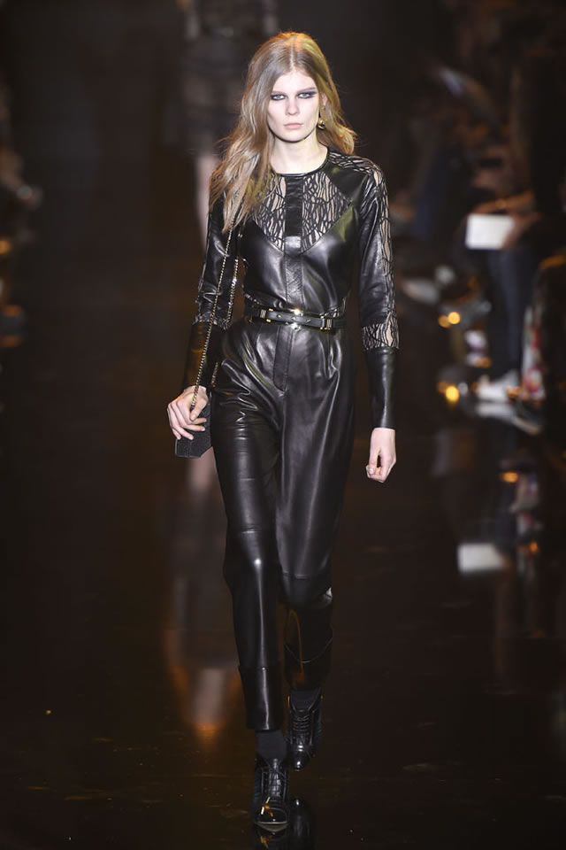 2015 Fall Elie Saab  Latest Collection