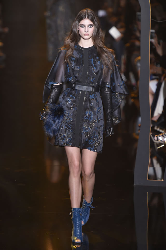 Fall Paris 2015 Elie Saab  Collection