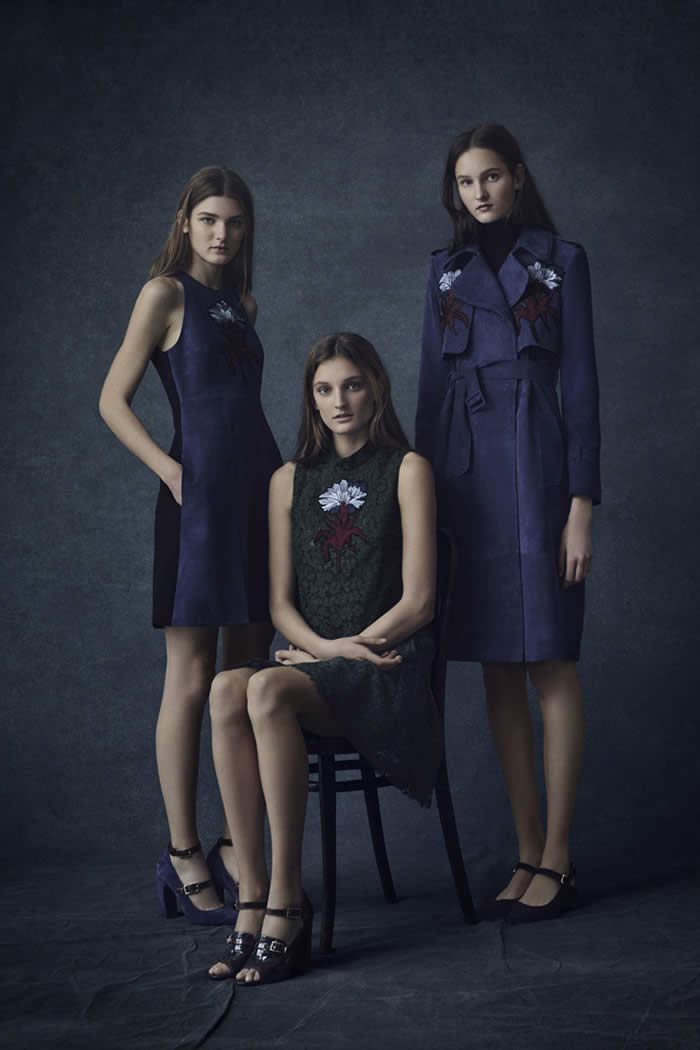 Erdem Pre-fall  Collection