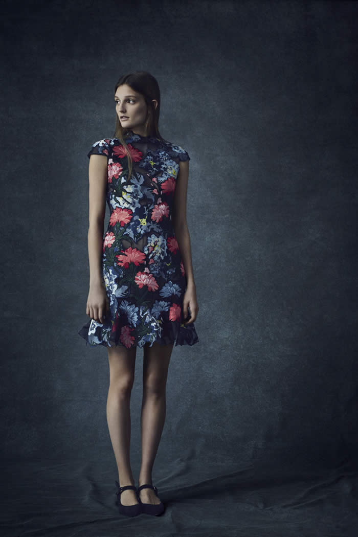 Erdem 2016 Latest Pre-fall  Collection