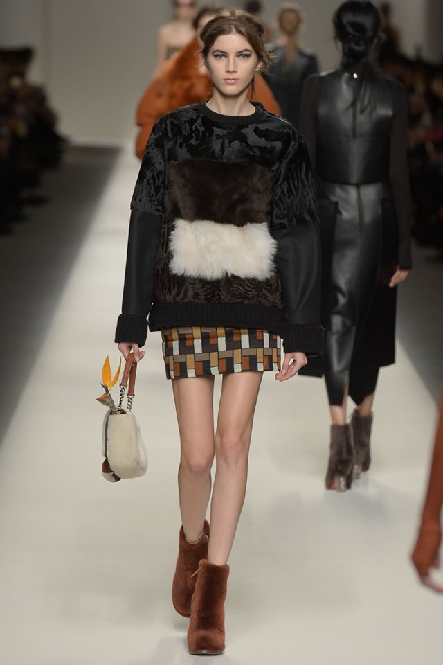 Fall FENDI   Latest Collection