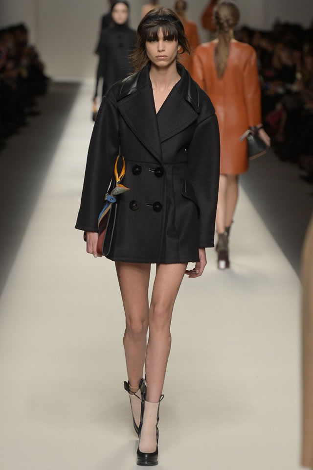 2015  FENDI   Fall Collection
