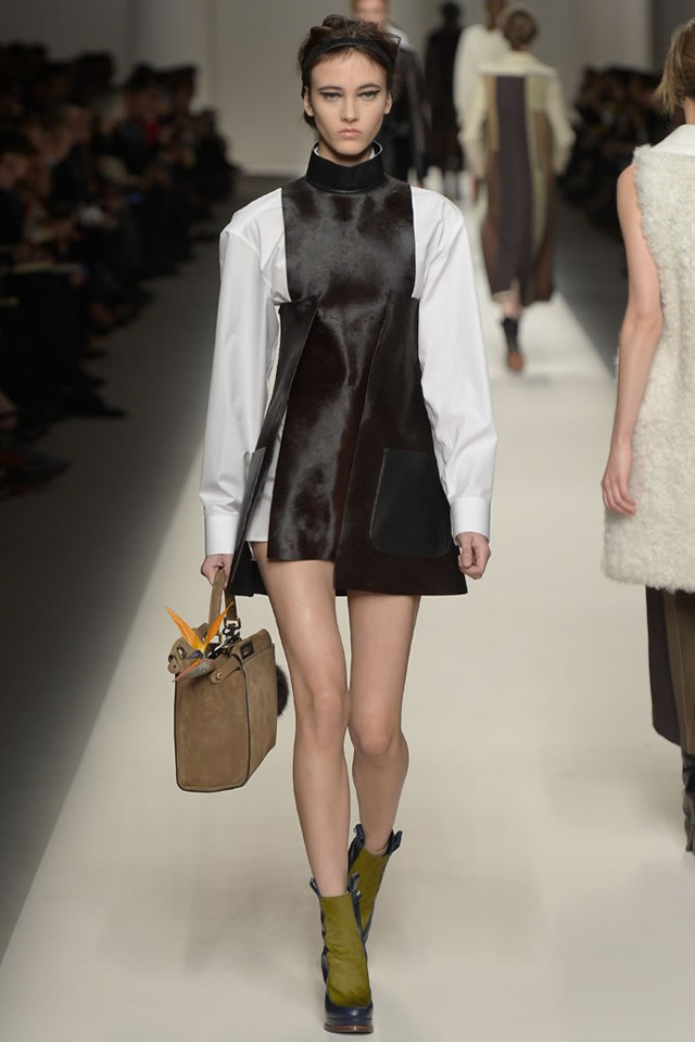Fall FENDI   2015  Collection