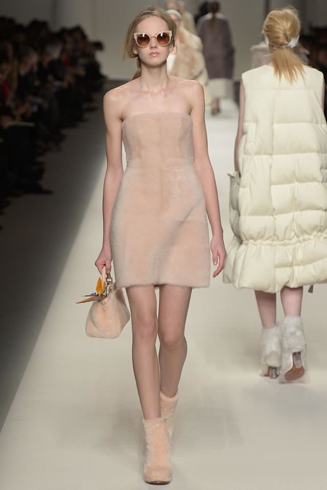 Fall  FENDI   2015 Collection