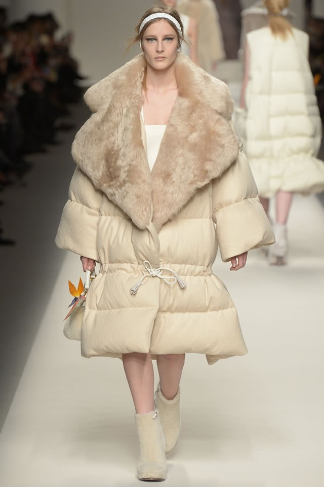 Fall FENDI    Collection
