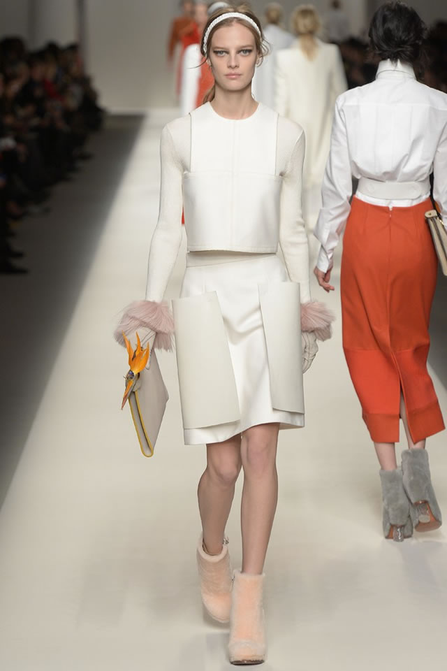 FENDI   Latest  2015 Fall Collection