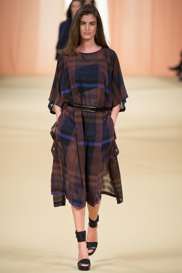 2015 Hermes Paris Fashion Week RTW Collection