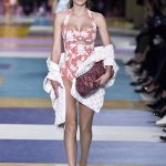 Miu Miu Spring  Latest 2017 Collection