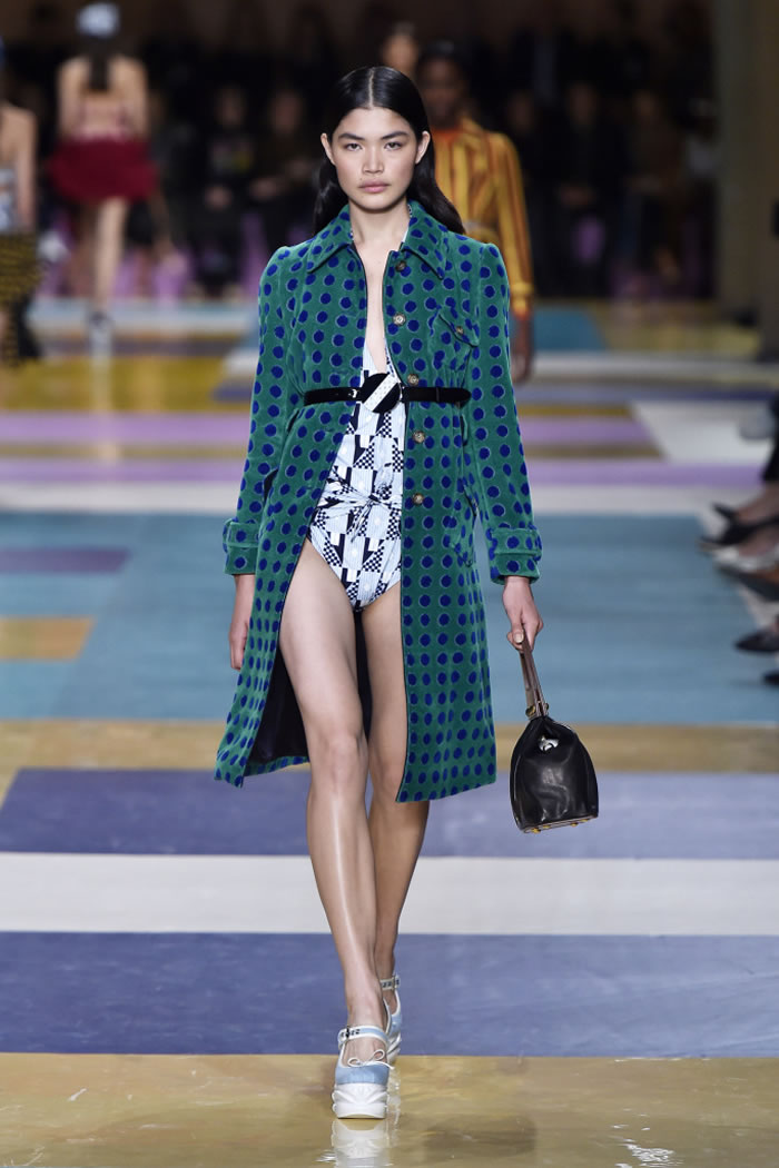 Miu Miu 2017 Collection