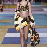 Miu Miu 2017 Spring  Collection