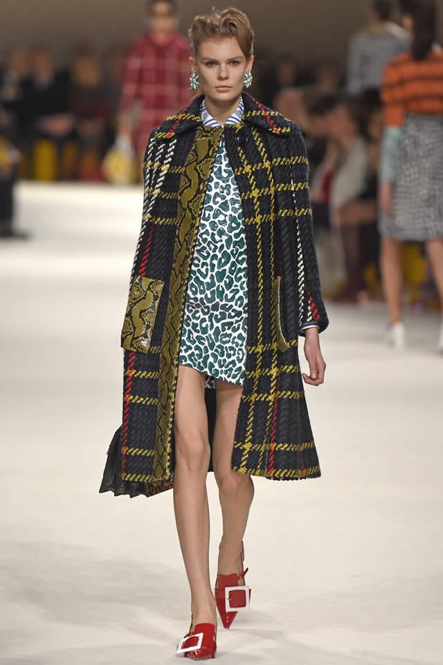 2015 Paris Miu Miu  Collection