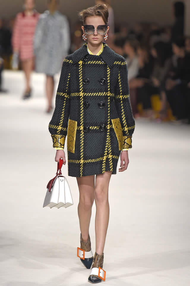 2015 Miu Miu  Paris Collection