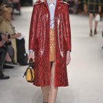 2015 Miu Miu  Fall Collection