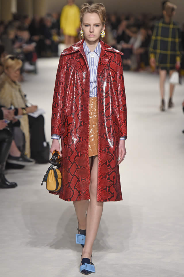 2015 Miu Miu  Fall Collection