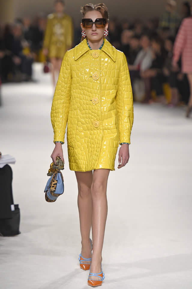 Miu Miu  2015 Paris Fall Collection
