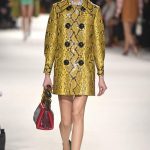 Fall Miu Miu  Latest 2015 Paris Collection