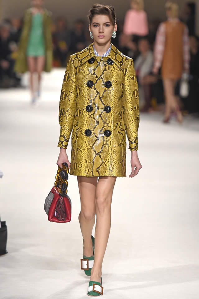 Fall Miu Miu  Latest 2015 Paris Collection
