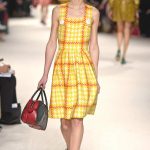 Fall Miu Miu  Latest 2015 Collection