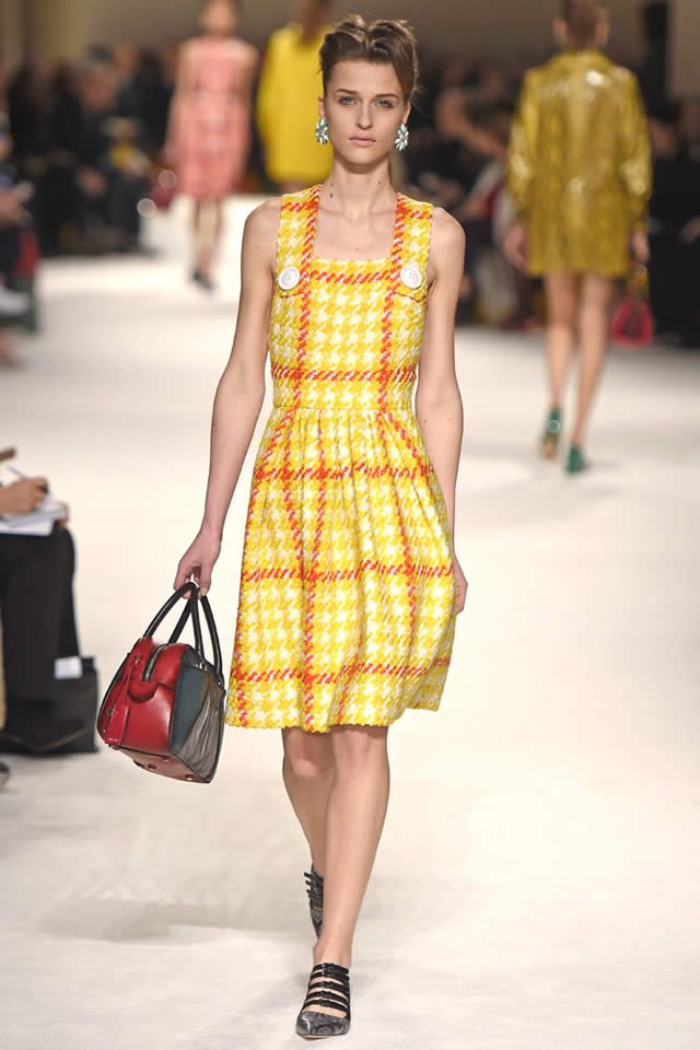 Fall Miu Miu  Latest 2015 Collection