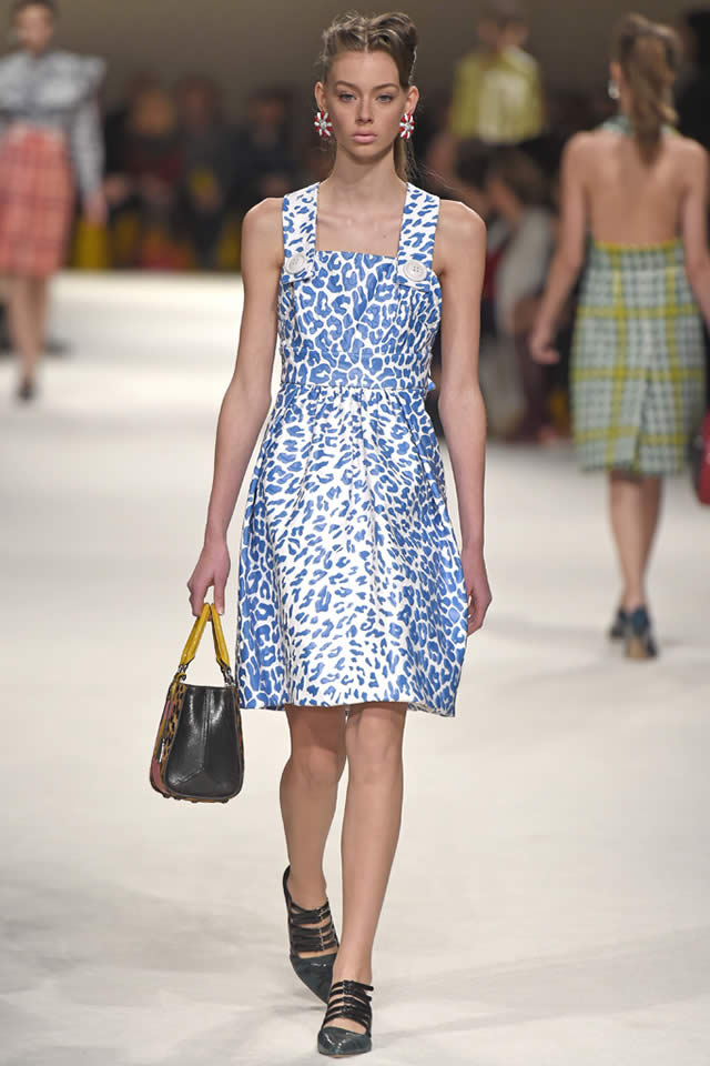 Fall Miu Miu  Paris 2015 Collection