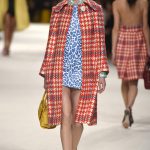 Fall Paris Miu Miu  Collection