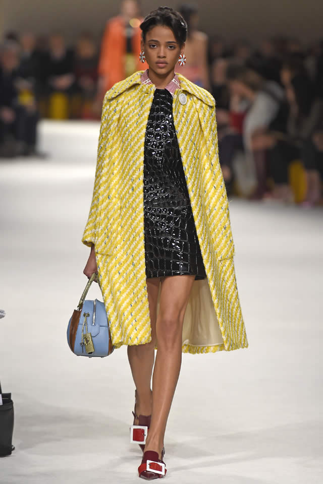 Latest Collection by Miu Miu  2015 Fall