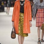 Fall Miu Miu  Paris Collection